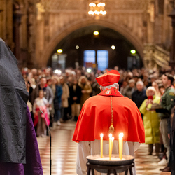 Erzdiözese Wien/ Schönlaub, Stephan Schönlaub
