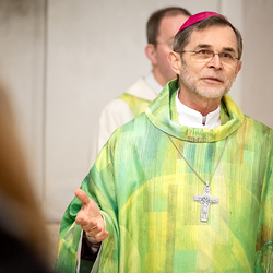 Erzdiözese Wien/Schönlaub