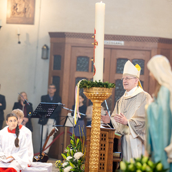 Erzdiözese Wien/Schönlaub, Stephan Schönlaub