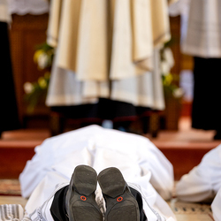 Erzdiözese Wien/Schönlaub, Stephan Schönlaub