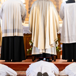 Erzdiözese Wien/Schönlaub, Stephan Schönlaub