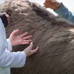 Palmsonntag Pfarre Heilige Mutter Teresa / Erzdiözese Wien/Feuchtner