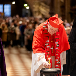 Erzdiözese Wien/ Schönlaub, Stephan Schönlaub